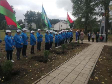 IMG 3e706e0fd80c6115c4c2e0bbd900bd0f V