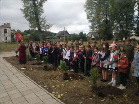 IMG d8c78781b047ff15fcaf5ee6f5b813ee V